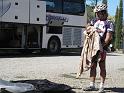 MTBTOSCANA2011  (400)